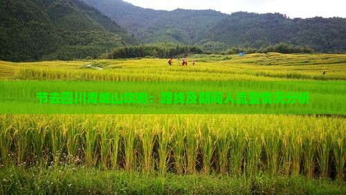 中秋节去四川青城山攻略
