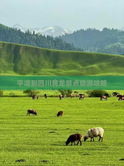 平凉到四川黄龙团体旅游