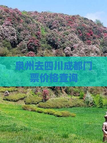 泉州去四川成都门票价格查询