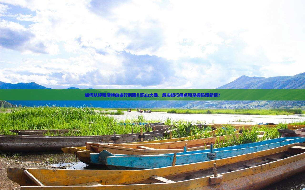 如何从呼和浩特自由行到四川乐山大佛，解决旅行痛点和掌握热词新词？