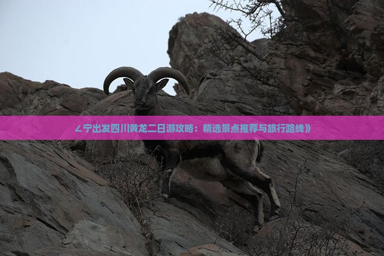∠宁出发四川黄龙二日游攻略：精选景点推荐与旅行路线》