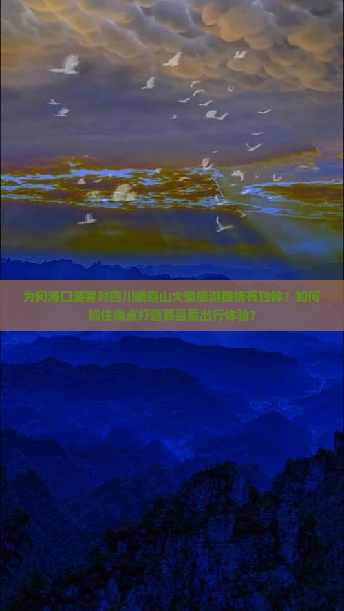 为何海口游客对四川峨眉山大型旅游团情有独钟？如何抓住痛点打造高品质出行体验？