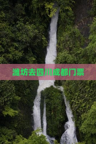 潍坊去四川成都门票