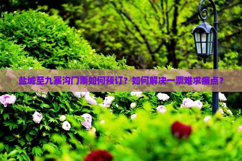 盐城至九寨沟门票如何预订？如何解决一票难求痛点？