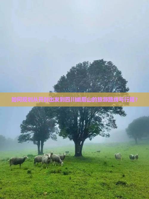 如何规划从开封出发到四川峨眉山的旅游路线与行程？