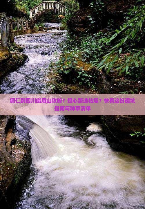 铜仁到四川峨眉山攻略？担心路途枯燥？快看这份避坑指南与种草清单