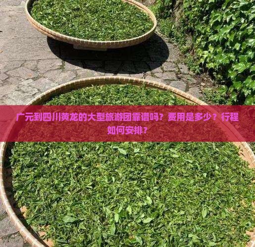 广元到四川黄龙的大型旅游团靠谱吗？费用是多少？行程如何安排？