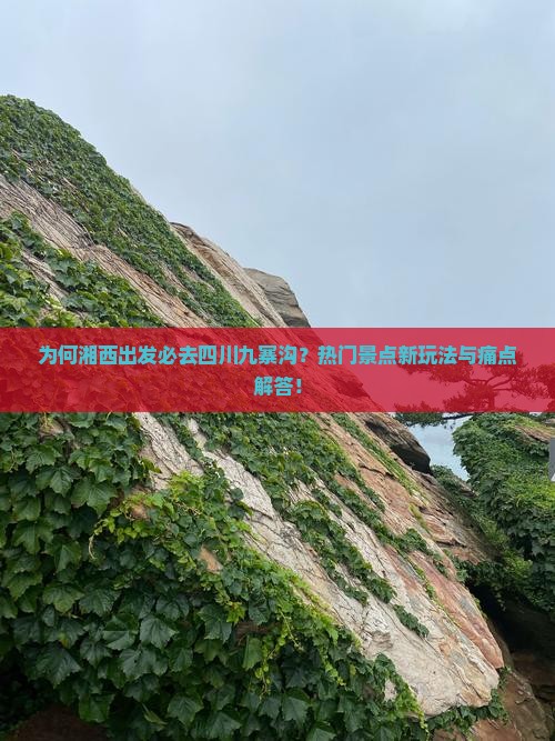 为何湘西出发必去四川九寨沟？热门景点新玩法与痛点解答！