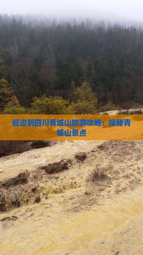 延边到四川青城山旅游攻略：探秘青城山景点