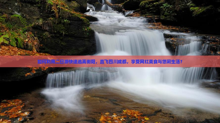 如何利用二日游快速逃离衡阳，直飞四川成都，享受网红美食与悠闲生活？