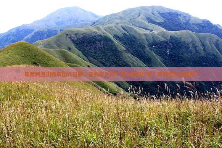 东莞到四川青城山六日游，需要多少钱？怎么安排行程？有哪些景点推荐？