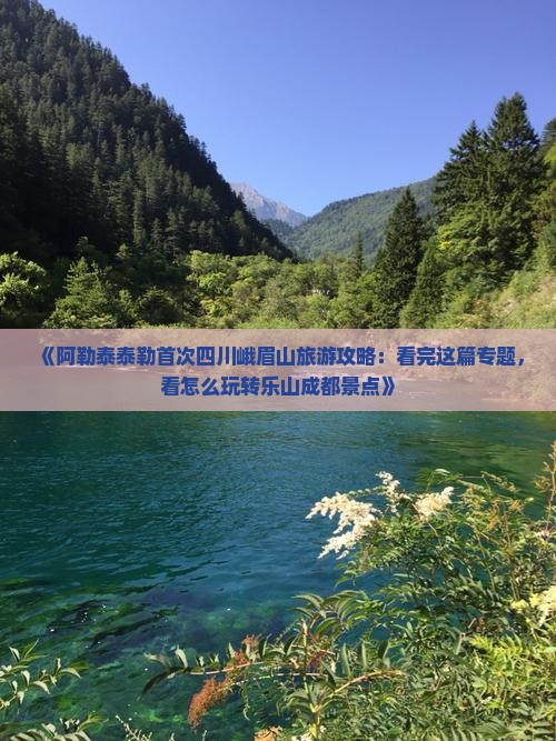 《阿勒泰泰勒首次四川峨眉山旅游攻略：看完这篇专题，看怎么玩转乐山成都景点》