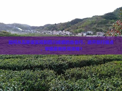 如何从五家渠实现到四川成都的自由行，避开旅行痛点，掌握最新热词攻略？