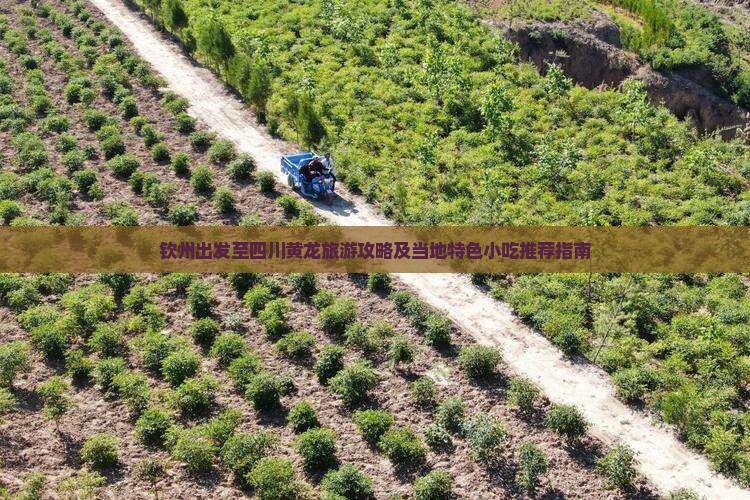 钦州出发至四川黄龙旅游攻略及当地特色小吃推荐指南