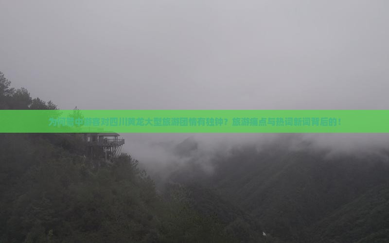 为何晋中游客对四川黄龙大型旅游团情有独钟？旅游痛点与热词新词背后的！