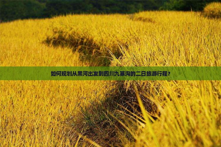 如何规划从黑河出发到四川九寨沟的二日旅游行程？