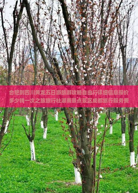 合肥到四川黄龙五日游旅游攻略自由行详细信息报价多少钱一次之旅旅行社湖南景点景区成都旅行服务费用路线看看