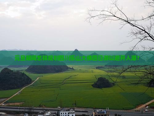 元旦期间怎样规划四川乐山大佛四日游以避开人潮？