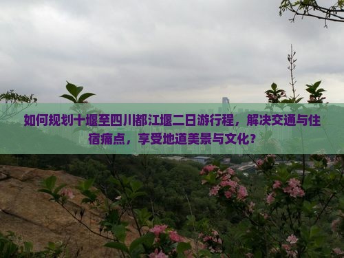如何规划十堰至四川都江堰二日游行程，解决交通与住宿痛点，享受地道美景与文化？