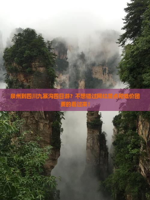 泉州到四川九寨沟四日游？不想错过网红景点和低价团费的看过来！