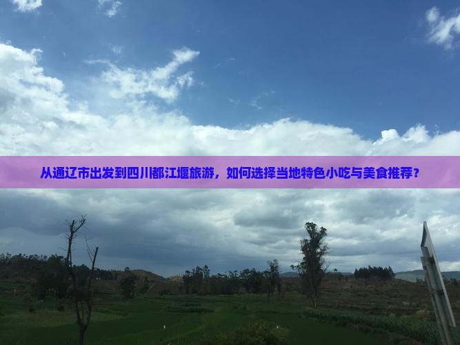 从通辽市出发到四川都江堰旅游，如何选择当地特色小吃与美食推荐？