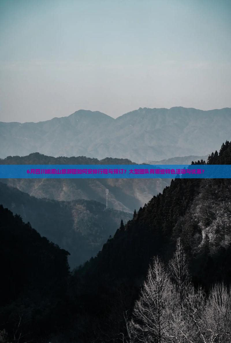 6月四川峨眉山旅游团如何安排行程与预订？大型团队有哪些特色活动与优惠？
