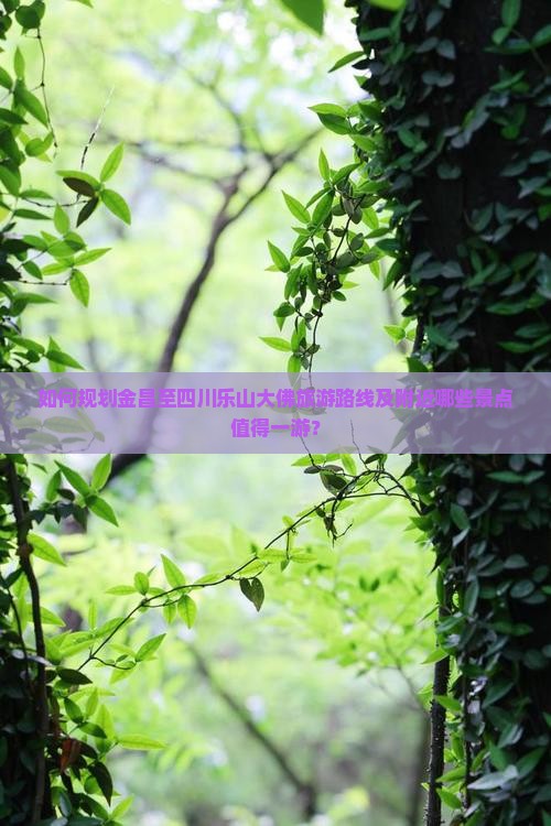 如何规划金昌至四川乐山大佛旅游路线及附近哪些景点值得一游？