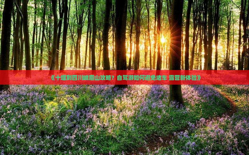 《十堰到四川峨眉山攻略？自驾游如何避免堵车+露营新体验》