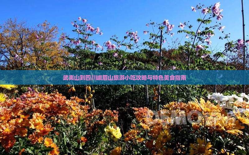 武夷山到四川峨眉山旅游小吃攻略与特色美食指南