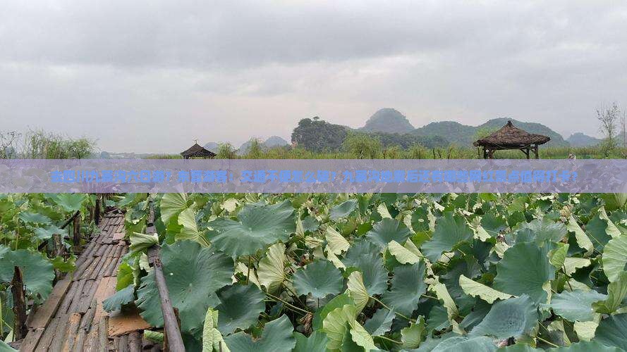去四川九寨沟六日游？东营游客：交通不便怎么破？九寨沟地震后还有哪些网红景点值得打卡？