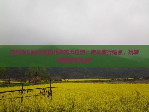 如何规划丽水至四川黄龙五日游，避开旅行痛点，玩转新晋网红景点？