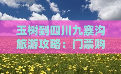 玉树到四川九寨沟旅游攻略：门票购买全知道