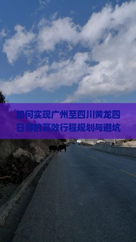 如何实现广州至四川黄龙四日游的高效行程规划与避坑指南？