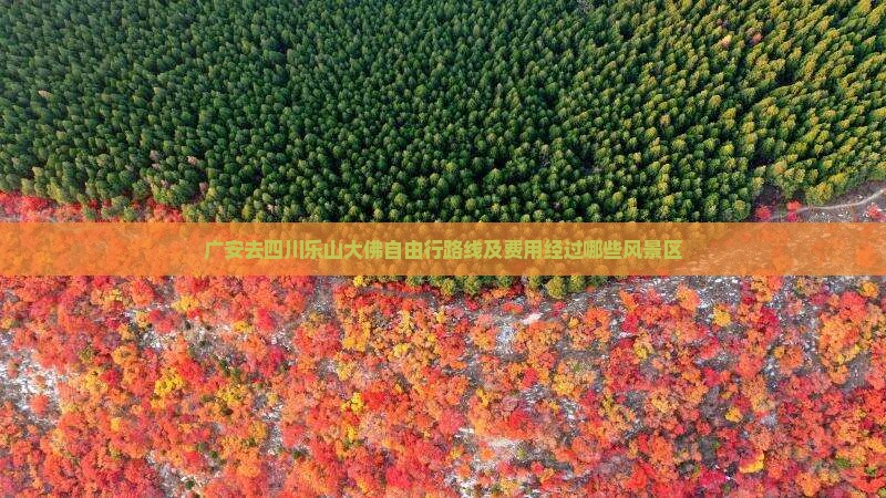 广安去四川乐山大佛自由行路线及费用经过哪些风景区