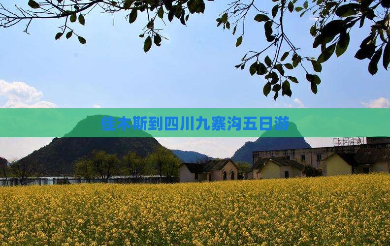 佳木斯到四川九寨沟五日游 佳木斯到四川九寨沟五日游