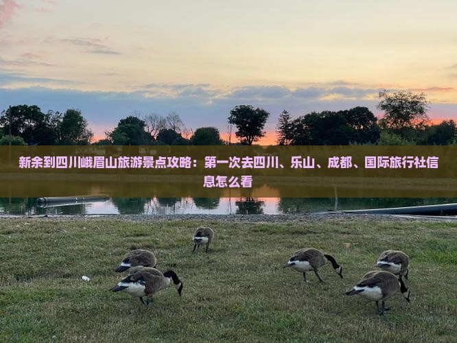 新余到四川峨眉山旅游景点攻略：第一次去四川、乐山、成都、国际旅行社信息怎么看