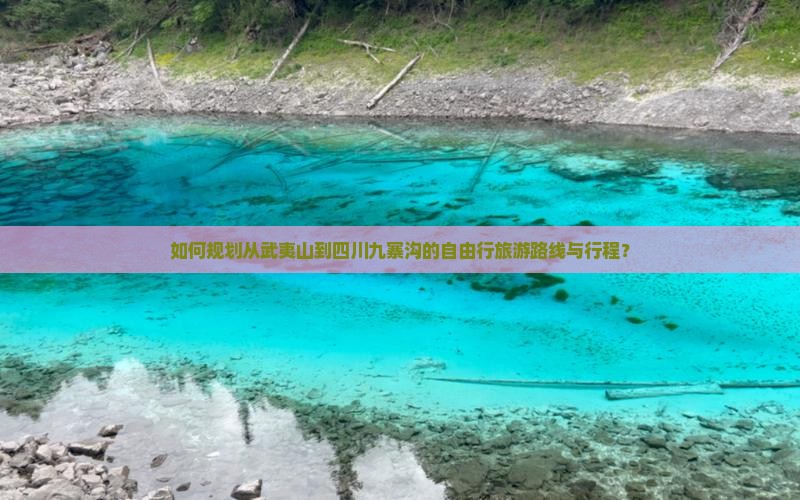 如何规划从武夷山到四川九寨沟的自由行旅游路线与行程？