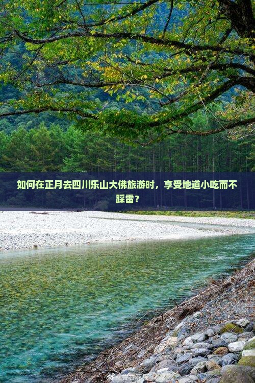 如何在正月去四川乐山大佛旅游时，享受地道小吃而不踩雷？