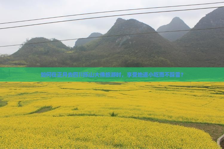 如何在正月去四川乐山大佛旅游时，享受地道小吃而不踩雷？