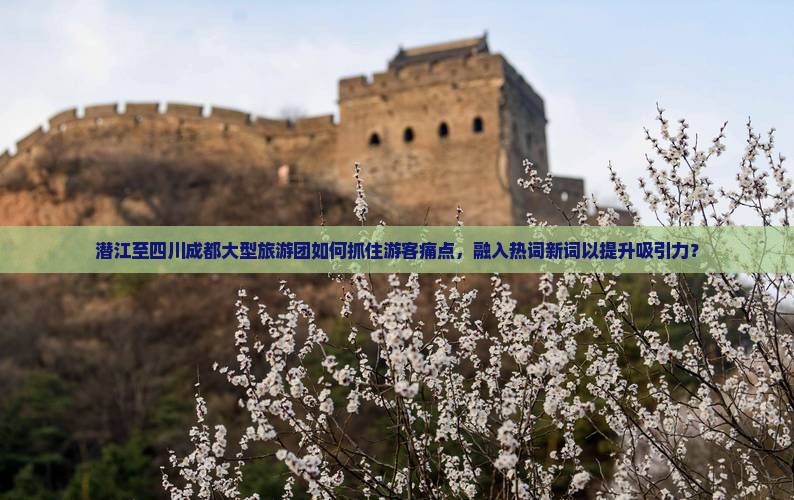 潜江至四川成都大型旅游团如何抓住游客痛点，融入热词新词以提升吸引力？