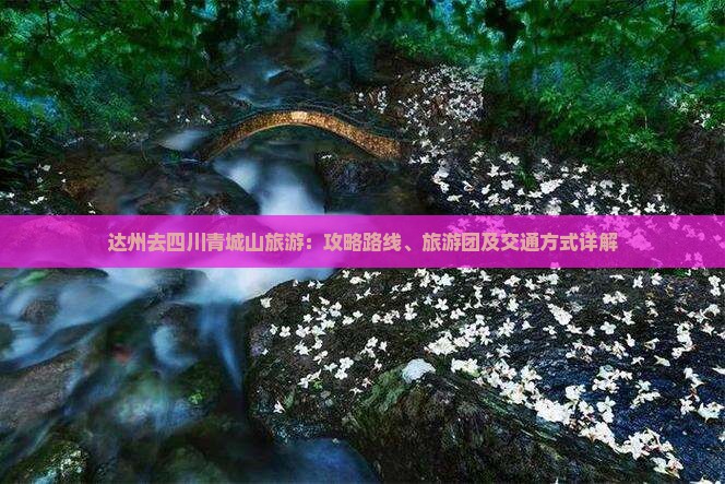 达州去四川青城山旅游：攻略路线、旅游团及交通方式详解