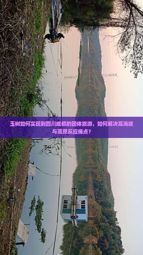 玉树如何实现到四川成都的团体旅游，如何解决高海拔与高原反应痛点？