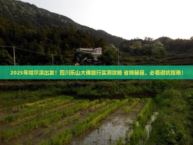 哈尔滨去四川乐山大佛景点