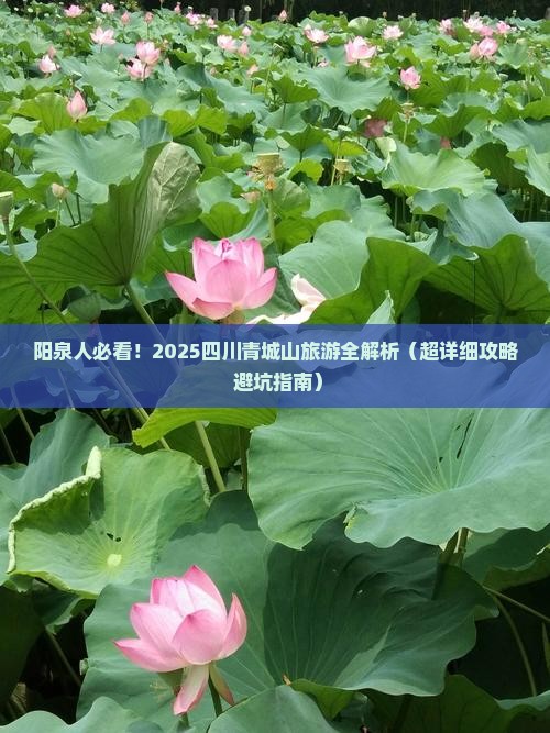 阳泉去四川青城山二日游