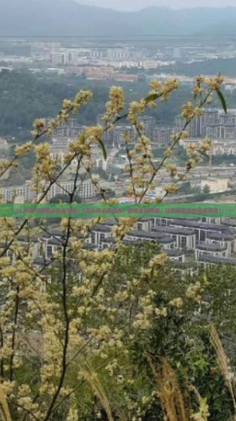 一月到四川峨眉山旅游小吃 一月到四川峨眉山旅游小吃