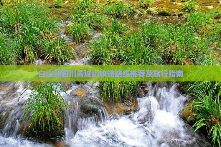 白山到四川青城山攻略