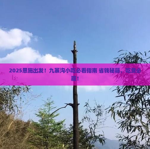 恩施到四川九寨沟旅游小吃
