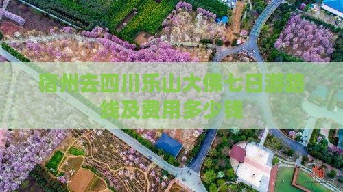宿州去四川乐山大佛七日游