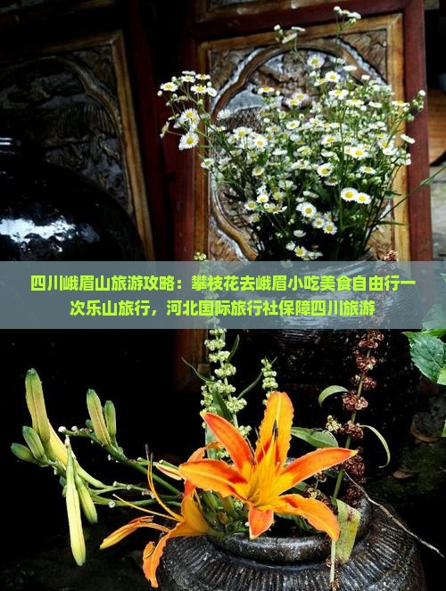 攀枝花去四川峨眉山旅游小吃