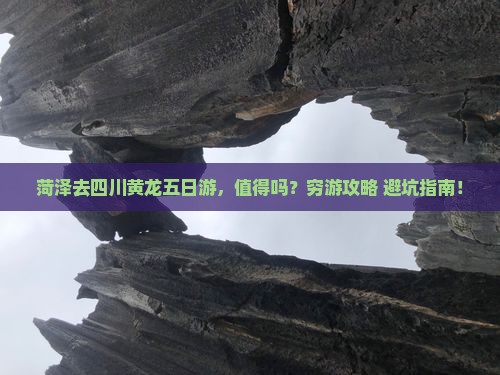菏泽去四川黄龙五日游